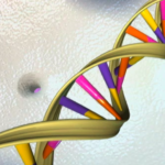 US study uncovers 275 million entirely new genetic variants